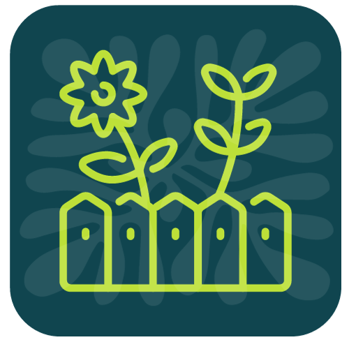 Cambray Apartment Garden